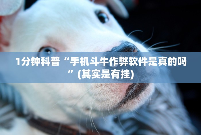 1分钟科普“河洛杠次跑的快有没有挂”有挂详细开挂教程