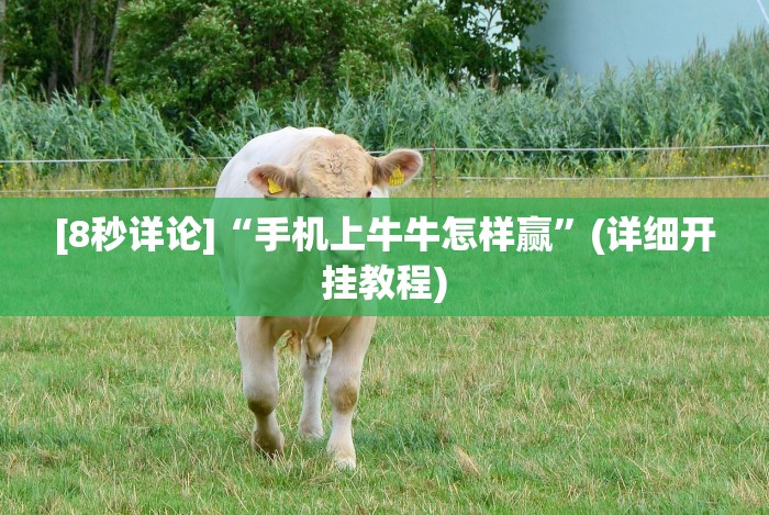 [分享]“随身十三道有挂吗”详细分享装挂步骤