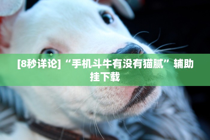 [解答]“微乐湖南跑得快有挂吗”详细外挂辅助详细教程