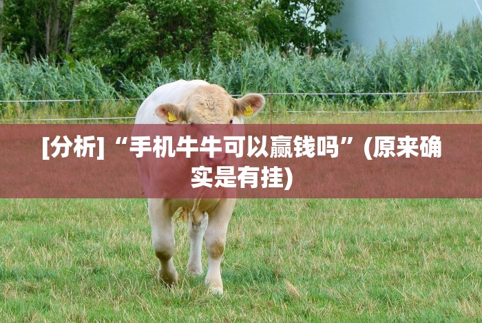 [推荐]“15张跑得快的高级技巧”(详细开挂教程)