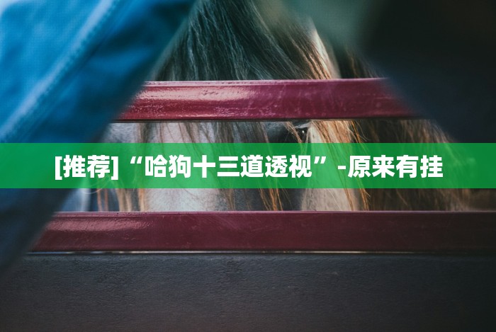 [推荐]“哈狗十三道透视”-原来有挂