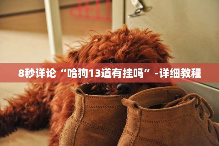 8秒详论“哈狗13道有挂吗”-详细教程