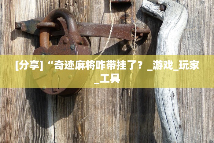 [分享]“奇迹麻将咋带挂了？_游戏_玩家_工具