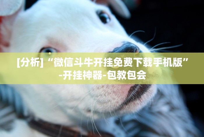 [分析]“微信斗牛开挂免费下载手机版”-开挂神器-包教包会