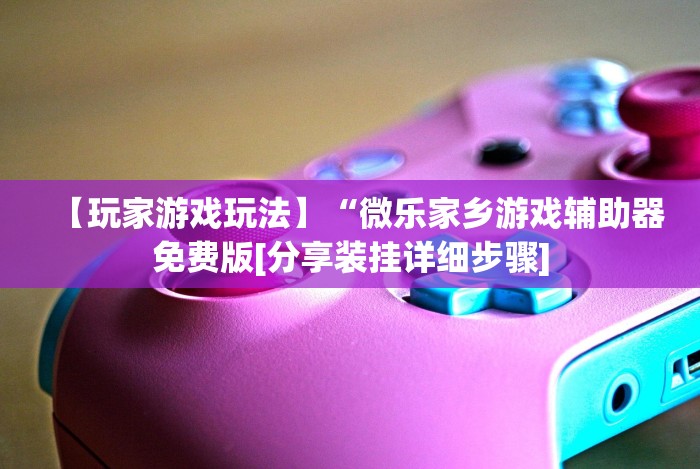【玩家游戏玩法】“微乐家乡游戏辅助器免费版[分享装挂详细步骤]