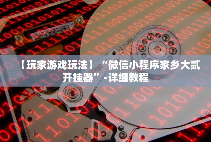 【玩家游戏玩法】“微信小程序家乡大贰开挂器”-详细教程