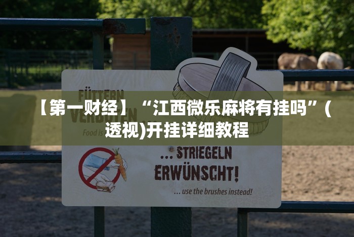 【第一财经】“江西微乐麻将有挂吗”(透视)开挂详细教程