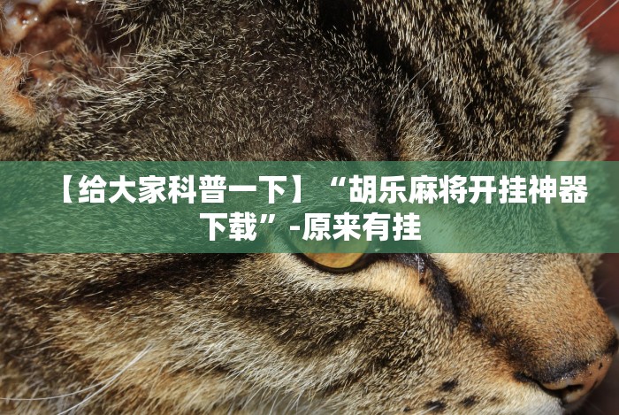 全新解说微乐小程序麻将怎么提高胜率”(其实是有挂)