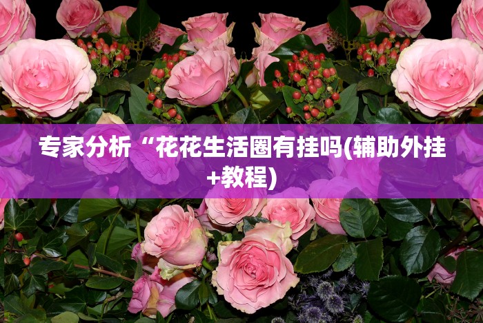 专家分析“花花生活圈有挂吗(辅助外挂+教程)