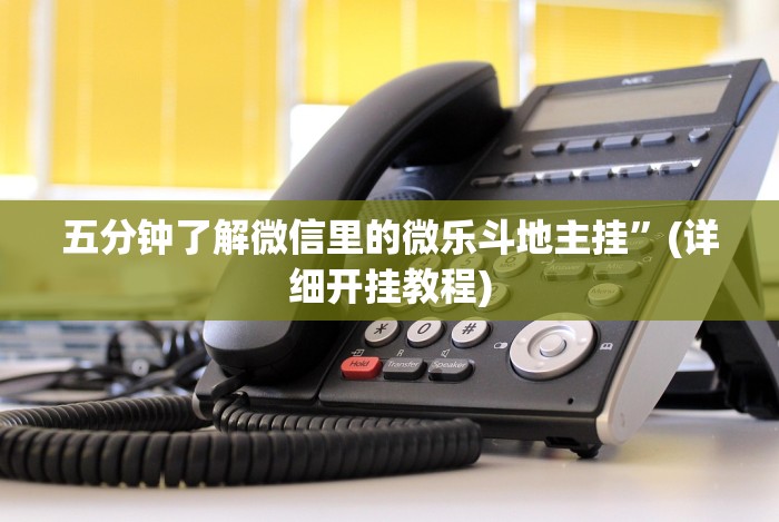 五分钟了解微信里的微乐斗地主挂”(详细开挂教程)