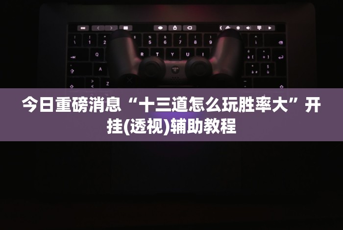 今日重磅消息“十三道怎么玩胜率大”开挂(透视)辅助教程