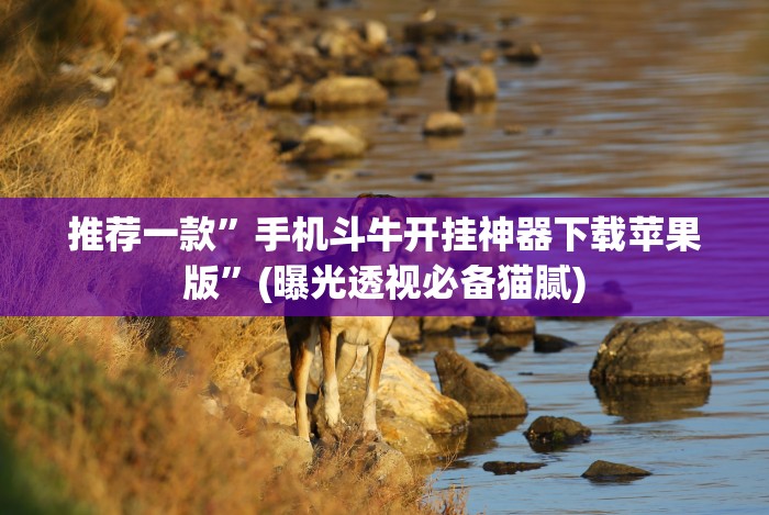 推荐一款”手机斗牛开挂神器下载苹果版”(曝光透视必备猫腻) 推荐一款”手机斗牛开挂神器下载苹果版”(曝光透视必备猫腻)