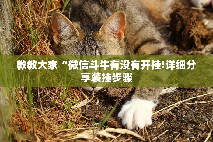 教教大家“微信斗牛有没有开挂!详细分享装挂步骤