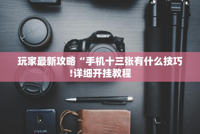 玩家最新攻略“手机十三张有什么技巧!详细开挂教程