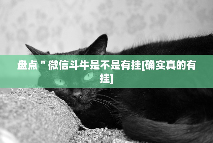 重磅来袭“2021手机作弊”详细外挂辅助详细教程 重磅来袭“2021手机作弊”详细外挂辅助详细教程