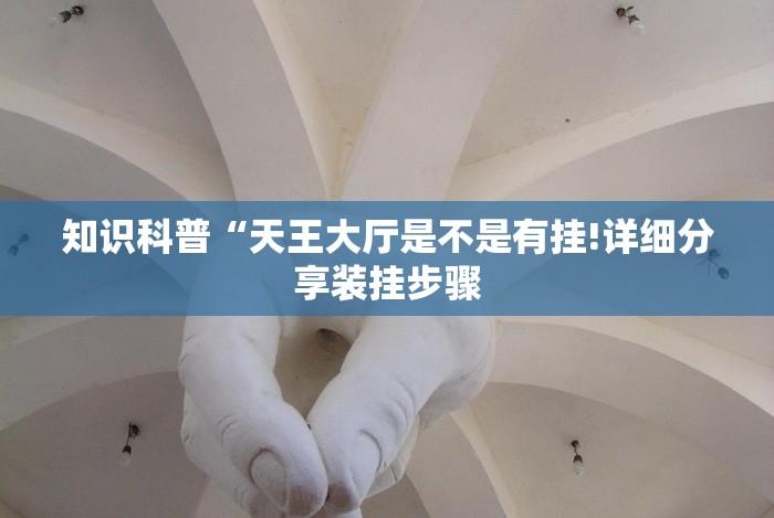 知识科普“天王大厅是不是有挂!详细分享装挂步骤