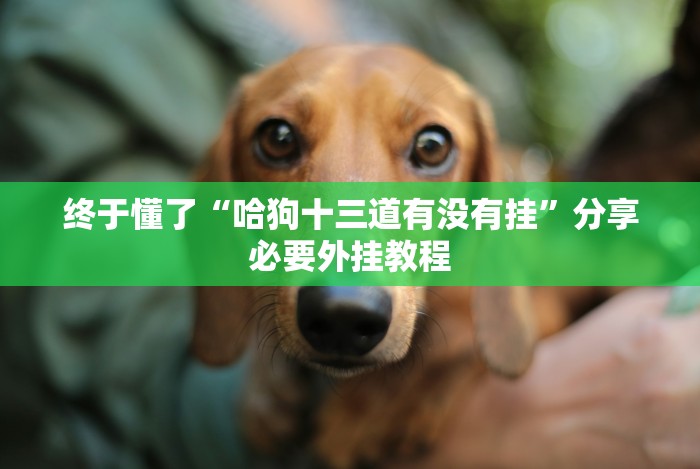 实测工具“扎股子秘籍(确实真的有挂)-知乎