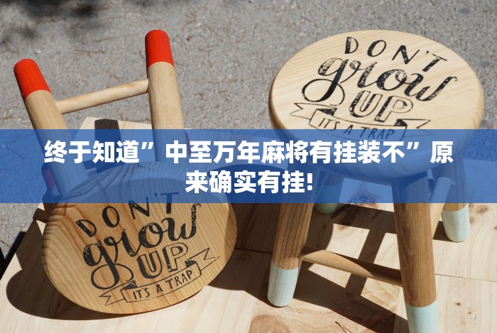 终于知道”中至万年麻将有挂装不”原来确实有挂!