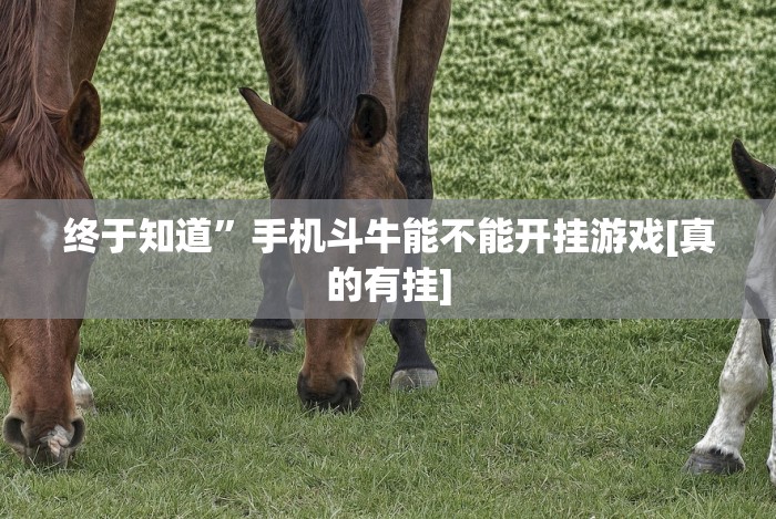 终于知道”手机斗牛能不能开挂游戏[真的有挂]
