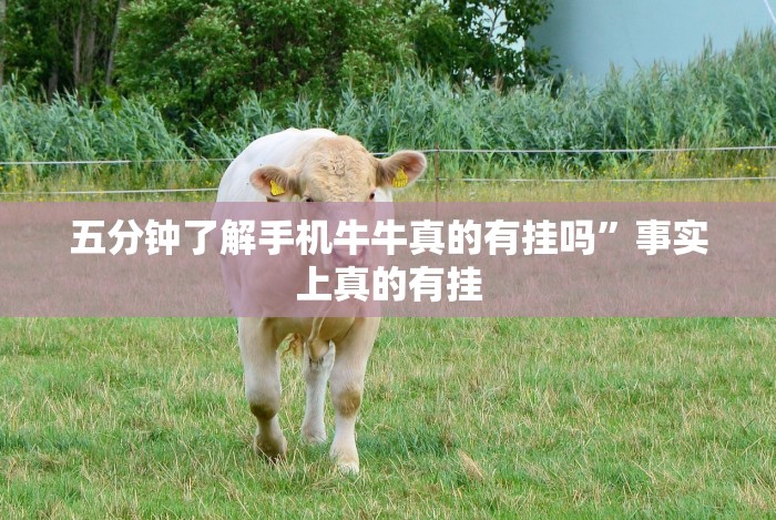 五分钟了解手机牛牛真的有挂吗”事实上真的有挂 五分钟了解手机牛牛真的有挂吗”事实上真的有挂