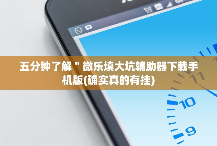 五分钟了解＂微乐填大坑辅助器下载手机版(确实真的有挂)