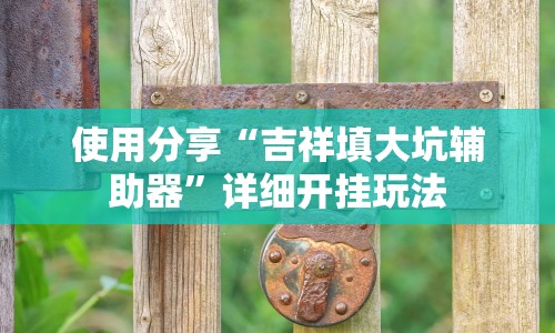 使用分享“吉祥填大坑辅助器”详细开挂玩法