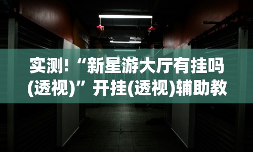 实测!“新星游大厅有挂吗(透视)”开挂(透视)辅助教程