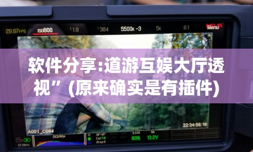 软件分享:道游互娱大厅透视”(原来确实是有插件)