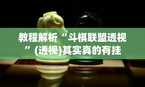 教程解析“斗棋联盟透视”(透视)其实真的有挂