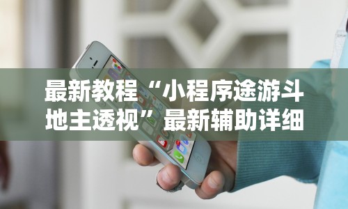 最新教程“小程序途游斗地主透视”最新辅助详细教程