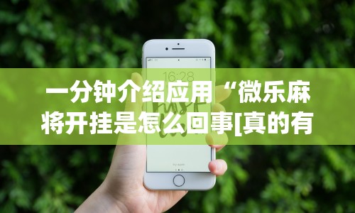 一分钟介绍应用“微乐麻将开挂是怎么回事[真的有挂]