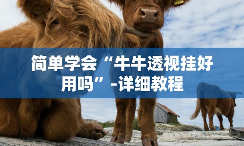 简单学会“牛牛透视挂好用吗”-详细教程