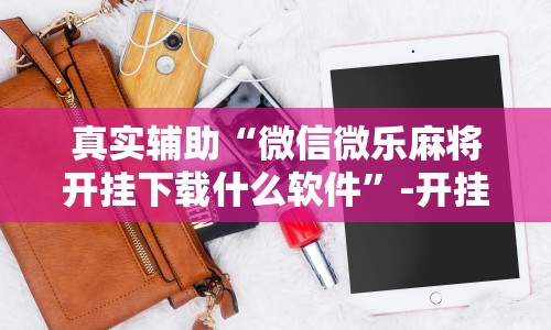 重大来袭“微信微乐小程序亲友房辅助器”科技辅助神器手机版教程