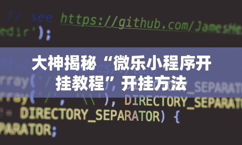 大神揭秘“微乐小程序开挂教程”开挂方法