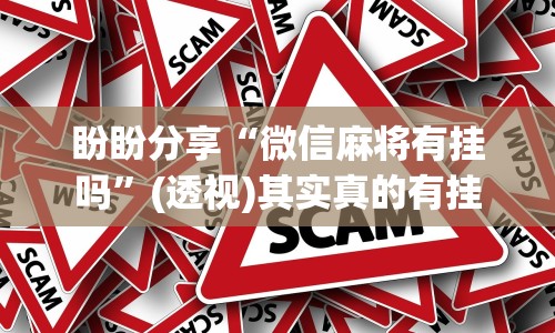 盼盼分享“微信麻将有挂吗”(透视)其实真的有挂